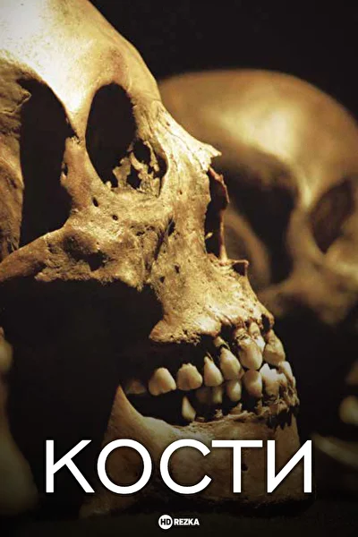 Постер к Кости